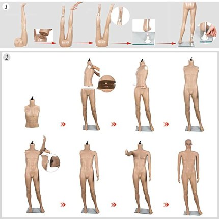 mannequin-assemble-procedure-chennai