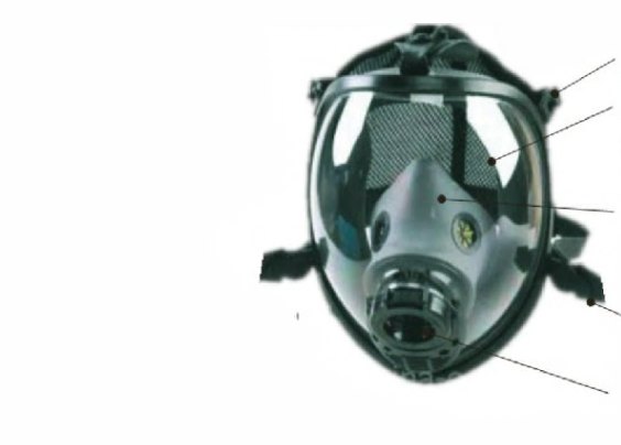 full safety mask v777